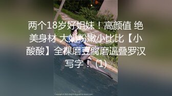  超推荐会尊享极品美乳小母狗啪啪爆肛交拳交各种玩法终极调教 车震跪舔爆操