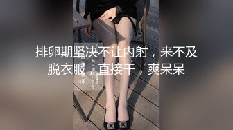 台湾SWAG_feifeibebe_大尺度露臉系列_一鏡到底小淫娃大戰聖誕老人