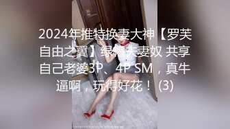 大象傳媒 AV0003 家政婦阿姨短裙的誘惑