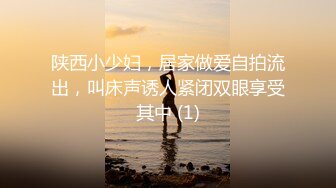 陕西小少妇，居家做爱自拍流出，叫床声诱人紧闭双眼享受其中 (1)