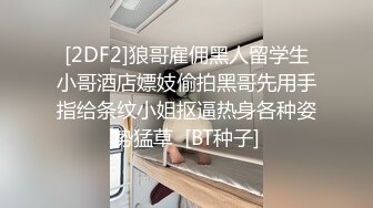 隔壁公司的外贸