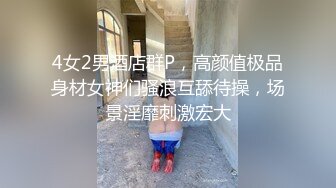 十二月大神19-22年潜入地下砂舞厅偷拍❤️《西安简爱舞厅》（2）内的淫乱的抓奶 抠逼 吃鸡 (4)