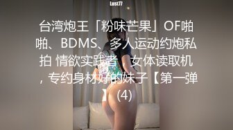 骚妻单约3