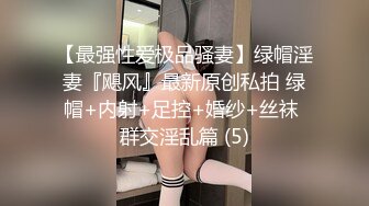 主动女上位的小母狗