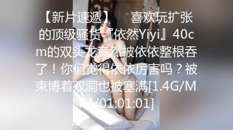 黄发少妇 完美露脸 极致口活