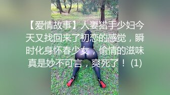 星空傳媒XK8135美乳空姐風騷入穴-欣欣