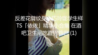 全套情趣空姐制服外围美女，修长美腿渔网袜