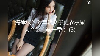 海岸线沙滩年轻女子更衣尿尿大合集（第一季） (3)