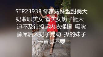 STP23938 邻家妹妹型甜美大奶兼职美女 看美女奶子挺大  迫不及待撩起内衣揉捏  吸吮舔屌后入奶子晃动  操的妹子一直喊不要