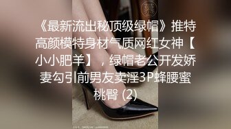 和熟女阿姨的约会