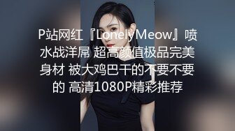 外淑女内骚的少妇