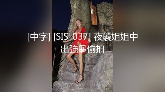 [中字] [SIS-037] 夜襲姐姐中出強暴偷拍