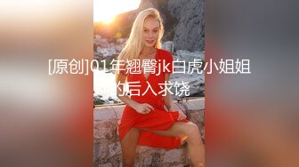 魅惑女仆