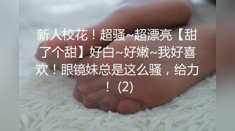 小貂蝉  黑色透明套装