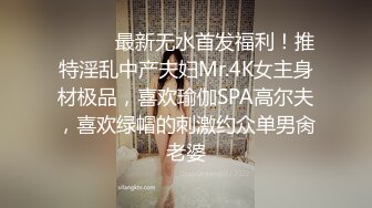 5-9新片速递酒店偷拍 健壮猛男侧入西装蕾丝袜下的气质风骚女神少妇姐姐