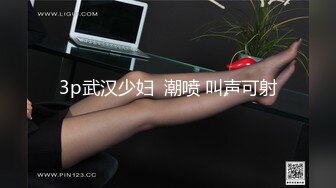 震动棒和肉棒双管齐下