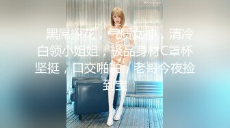    黑屌探花，气质女神，清冷白领小姐姐，极品身材C罩杯坚挺，口交啪啪，老哥今夜捡到宝