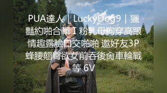 PUA達人｜LuckyDog9｜獵豔約啪合輯Ⅰ粉乳母狗穿高跟情趣露臉口交啪啪 邀好友3P蜂腰翹臀欲女前吞後肏車輪戰等 6V