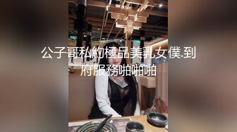 国产麻豆AV MSD MSD071 少爷的乖女仆 袁子仪