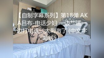 【自制字幕系列】第18弹 AKA吕布-电话少妇 一边艹逼一边打电话，太刺激了 (中文字幕版)！