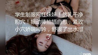 后入骚妇后续