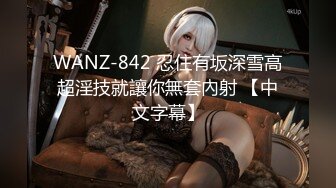 久久97久久精品自慰免费