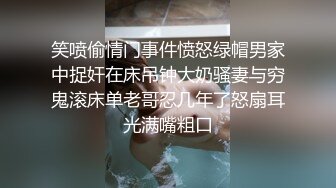 《极品反差?淫妻泄密》推特火爆淫荡翘臀骚母狗【芬姬夏妓】不雅私拍全集，公园露出调教野战潮喷大号道具紫薇淫水泛滥