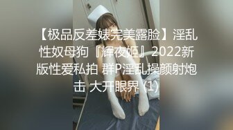 欧美重口味各色素人与半专业女自拍玩法合集【481V】 (22)