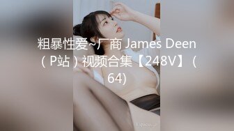 国产麻豆AV 蜜桃影像传媒 PMD001 EP2 东京爱情故事2 辉月杏梨