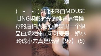 91KCM028極品女舔狗的粉色小騷逼 壞壞