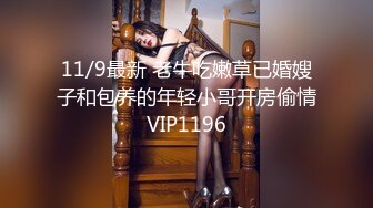 11/9最新 老牛吃嫩草已婚嫂子和包养的年轻小哥开房偷情VIP1196