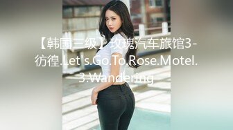 【韩国三级】玫瑰汽车旅馆3-彷徨.Let's.Go.To.Rose.Motel.3.Wandering