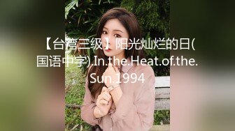 【台湾三级】阳光灿烂的日(国语中字).In.the.Heat.of.the.Sun.1994