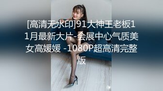 [高清无水印]91大神王老板11月最新大片-会展中心气质美女高媛媛 -1080P超高清完整版